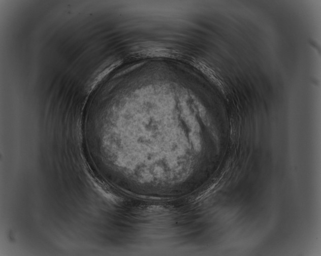 X0000096950390200802291101