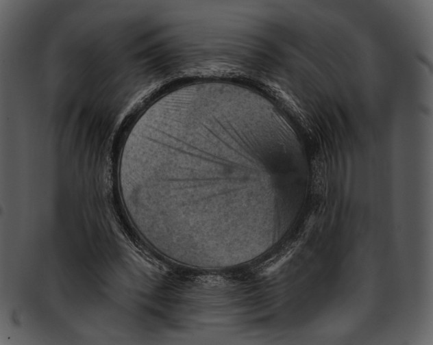 X0000096950392200802291101