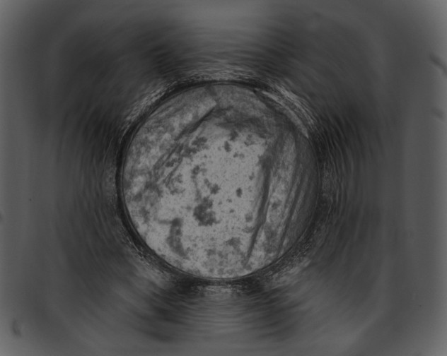 X0000096950394200802291101