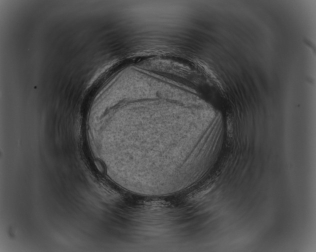 X0000096950396200802291101