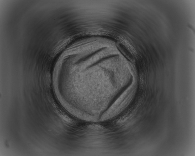 X0000096950397200802291101