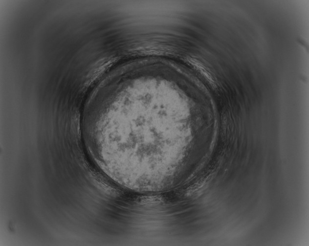 X0000096950398200802291101