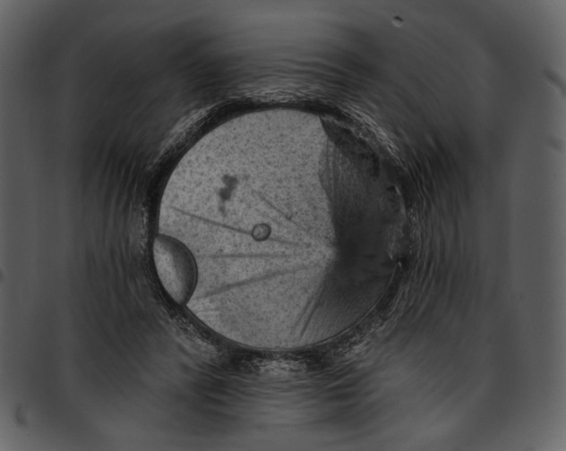 X0000096950400200802291101