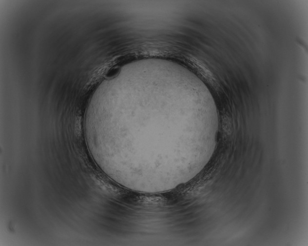 X0000096950401200802291101