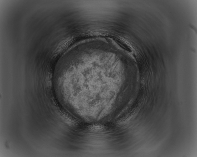 X0000096950402200802291101