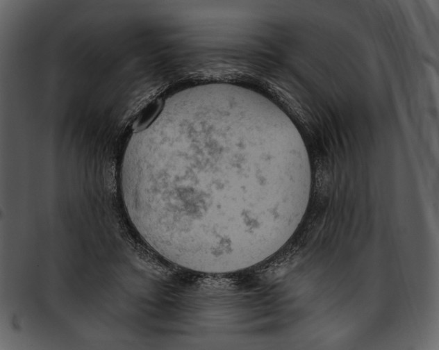 X0000096950403200802291101