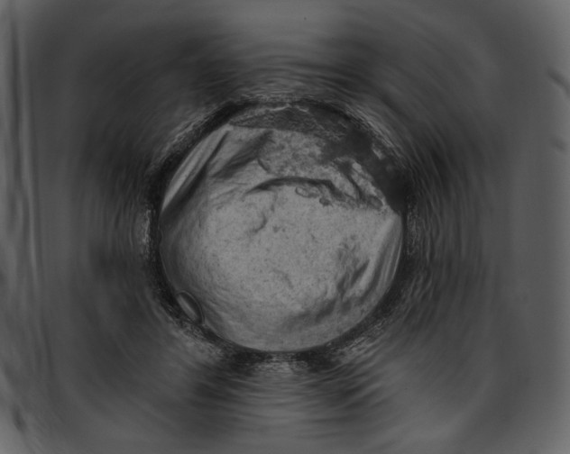 X0000096950404200802291101