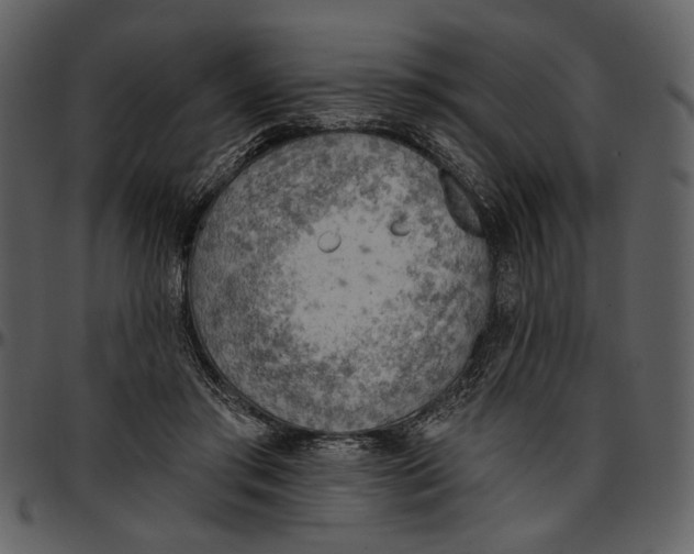 X0000096950405200802291101