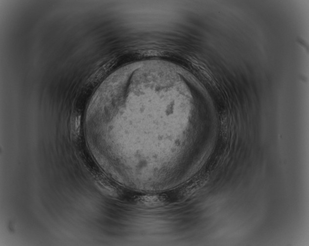 X0000096950406200802291101