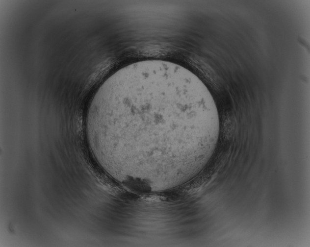 X0000096950407200802291101