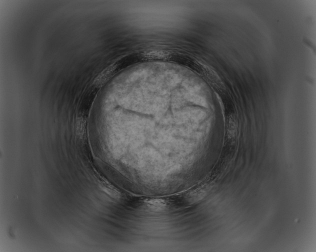 X0000096950409200802291101