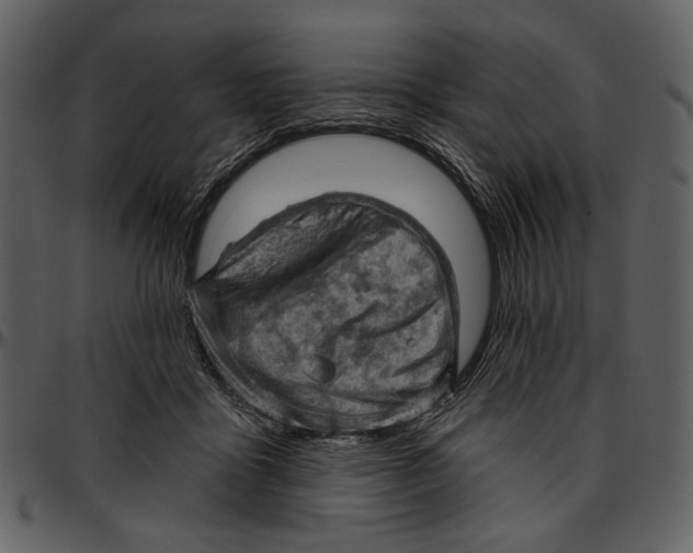 X0000096950411200802291101