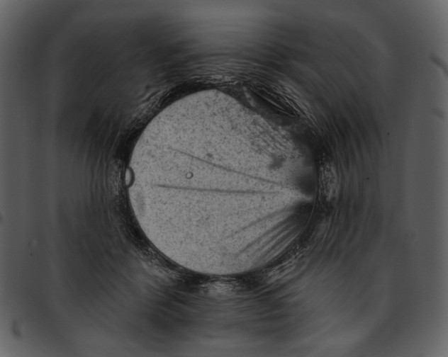 X0000096950412200802291101