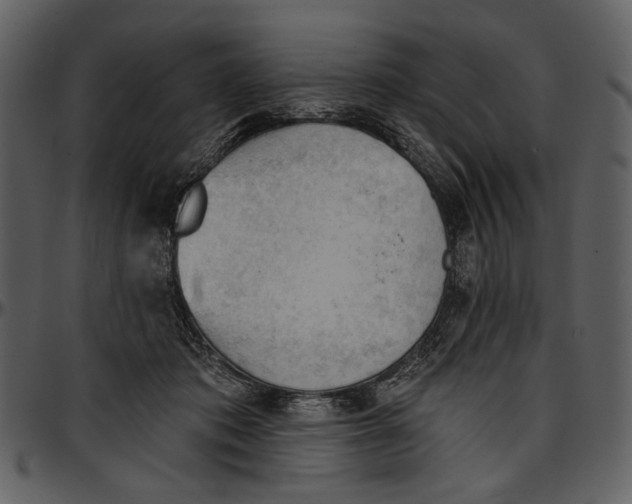 X0000096950413200802291101