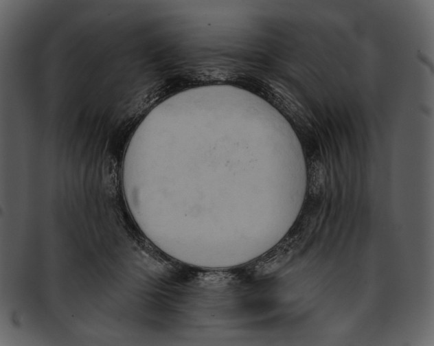 X0000096950414200802291101