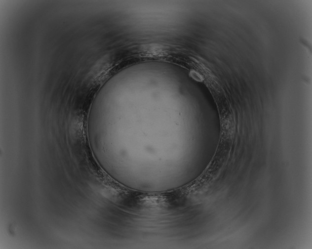 X0000096950415200802291101