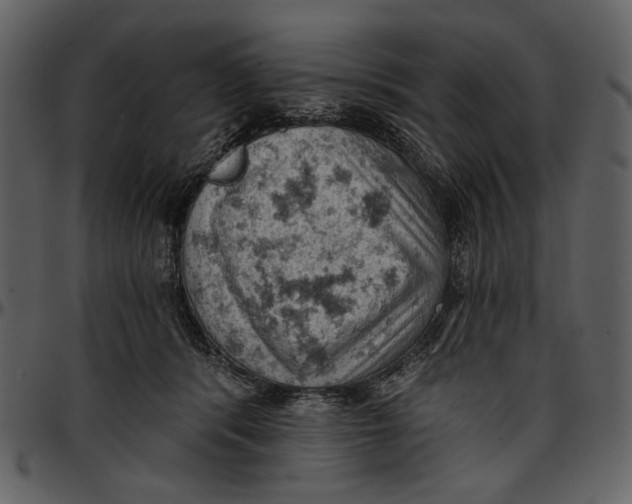 X0000096950416200802291101