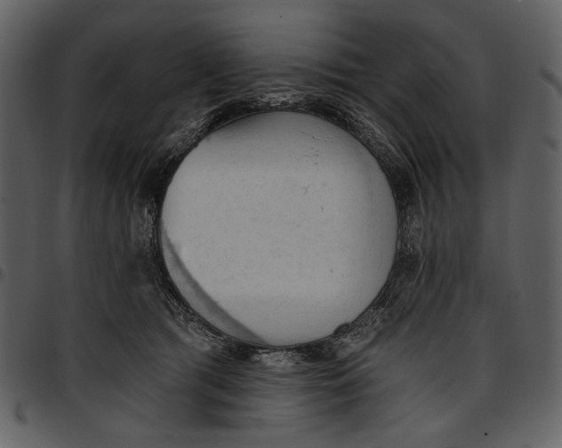 X0000096950417200802291101