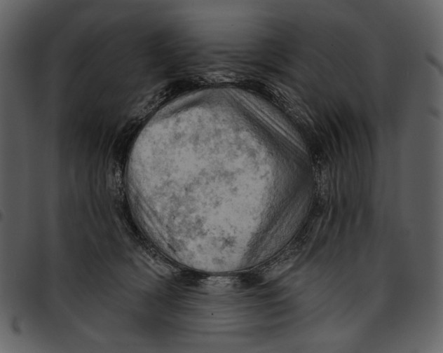 X0000096950418200802291101