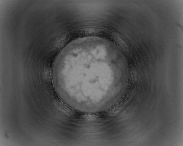 X0000096950419200802291101