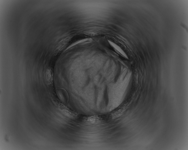 X0000096950420200802291101