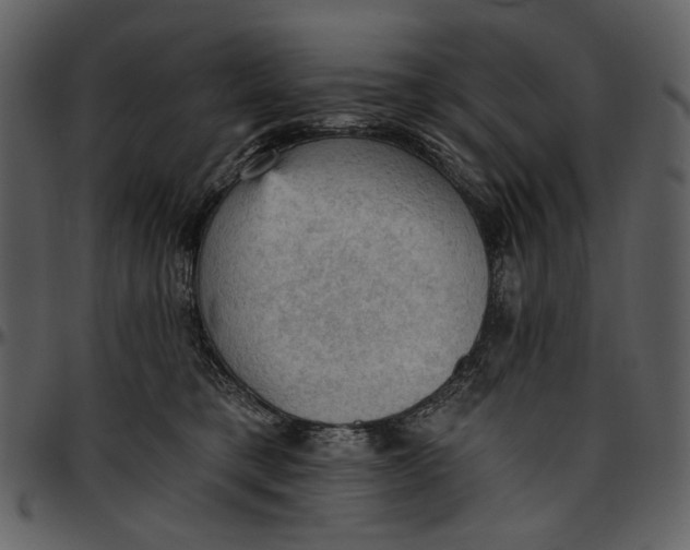 X0000096950421200802291101