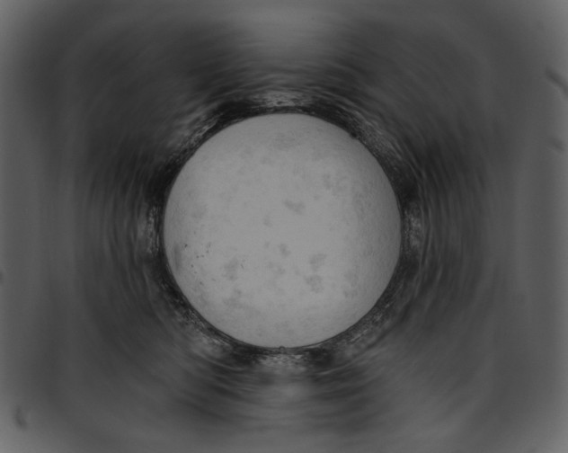 X0000096950422200802291101