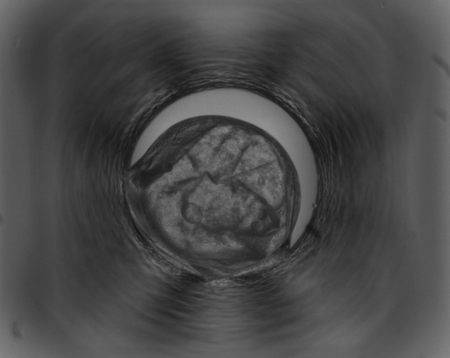 X0000096950423200802291101