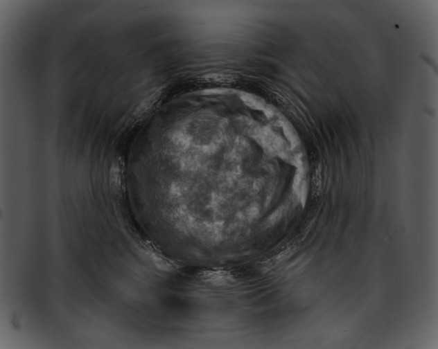 X0000096950424200802291101