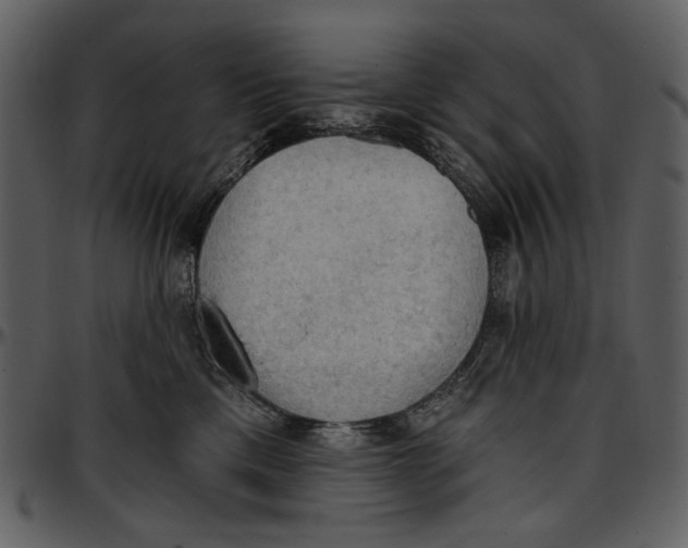 X0000096950425200802291101