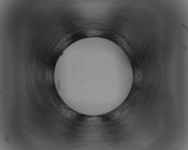 X0000096950426200802291101