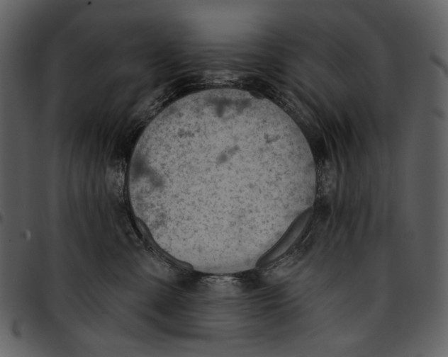 X0000096950427200802291101