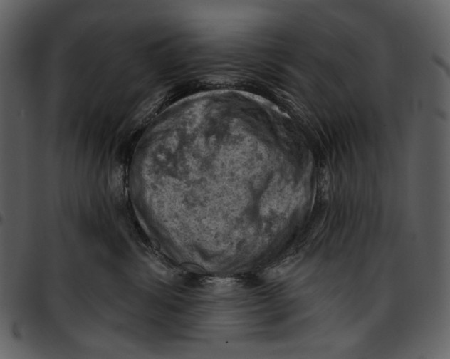 X0000096950428200802291101