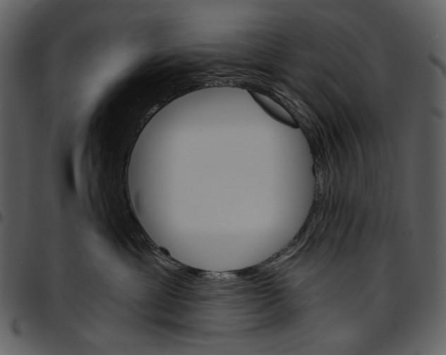 X0000096950429200802291101