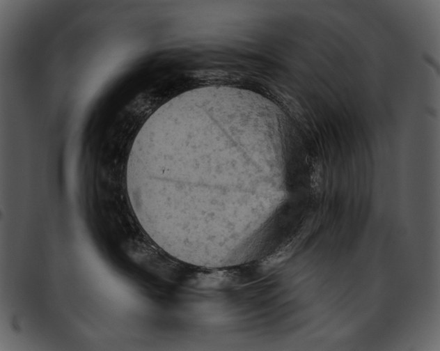 X0000096950430200802291101