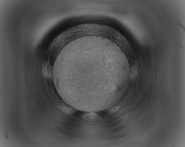 X0000096950431200802291101