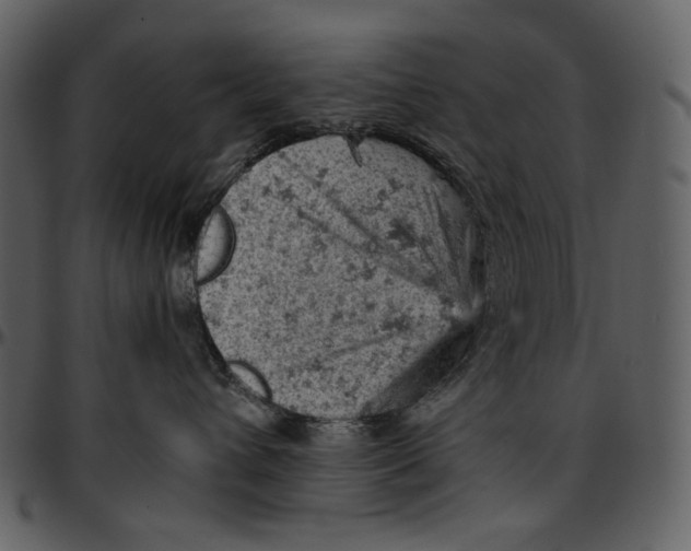 X0000096950432200802291101