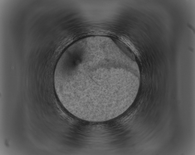 X0000096950433200802291100