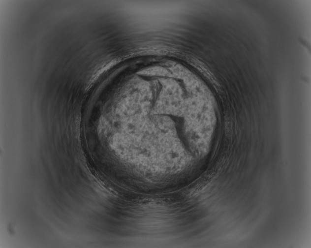 X0000096950434200802291100