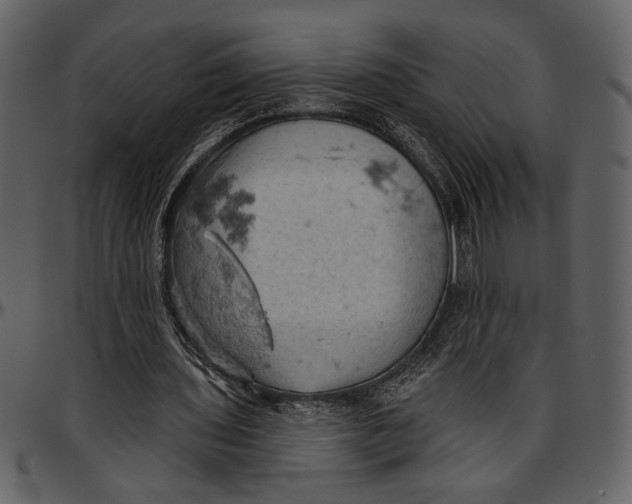 X0000096950435200802291100