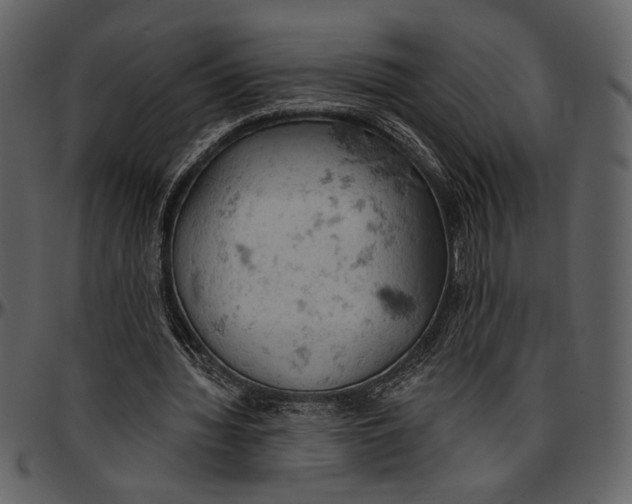 X0000096950436200802291100