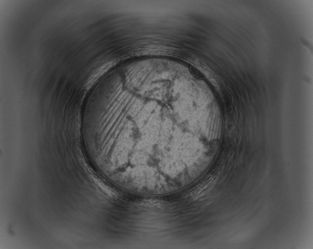 X0000096950437200802291100