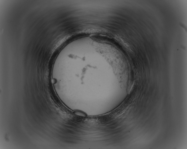 X0000096950440200802291100