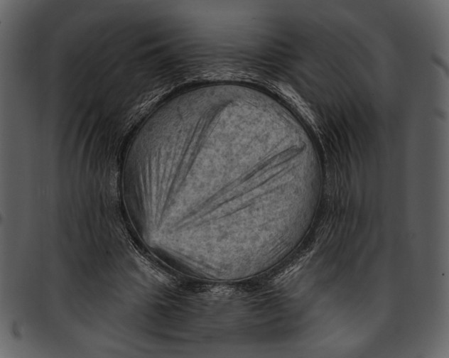 X0000096950441200802291100