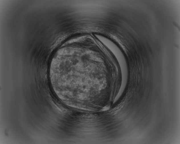 X0000096950443200802291100