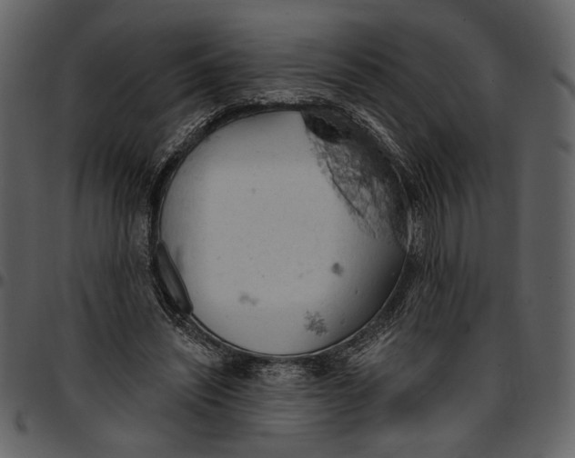 X0000096950444200802291100