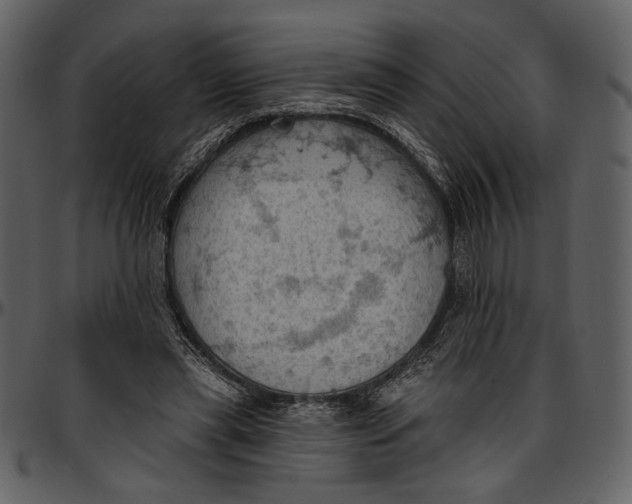 X0000096950445200802291100