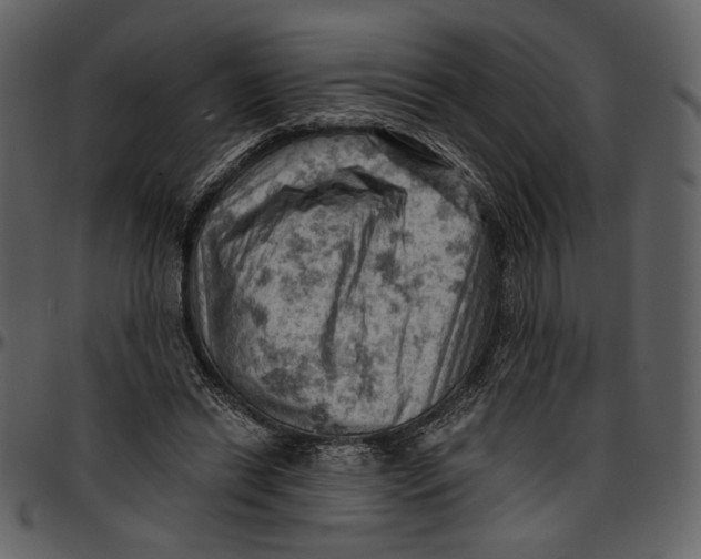 X0000096950446200802291100