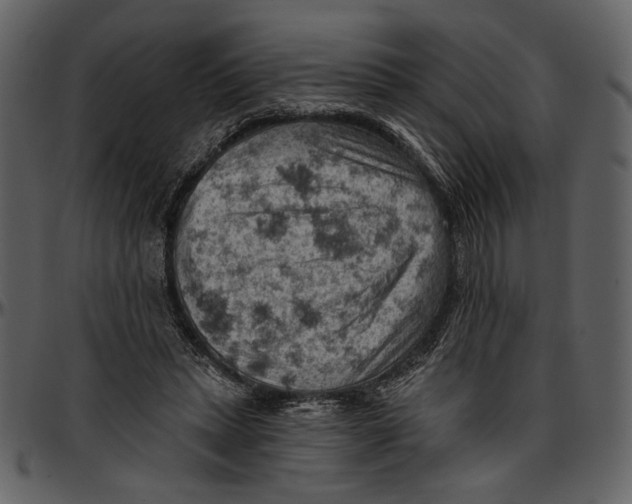 X0000096950447200802291100