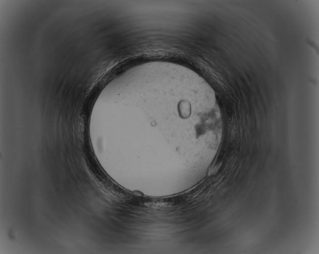 X0000096950448200802291100